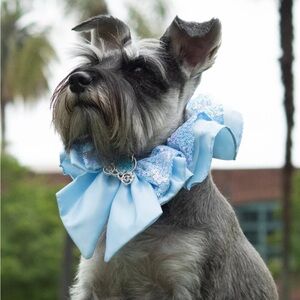 DISNEY PRINCESS Premium Dress Up Dog Collar Size Large- CINDERELLA